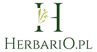 Herbario