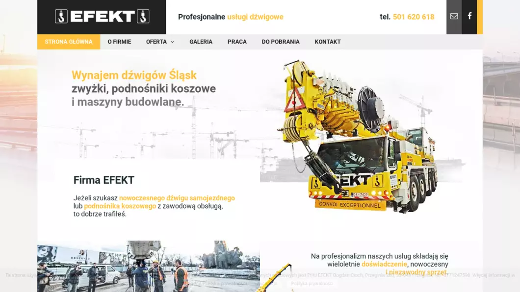 Zrzut ekranu strony Dźwigi  i Zwyżki  EFEKT